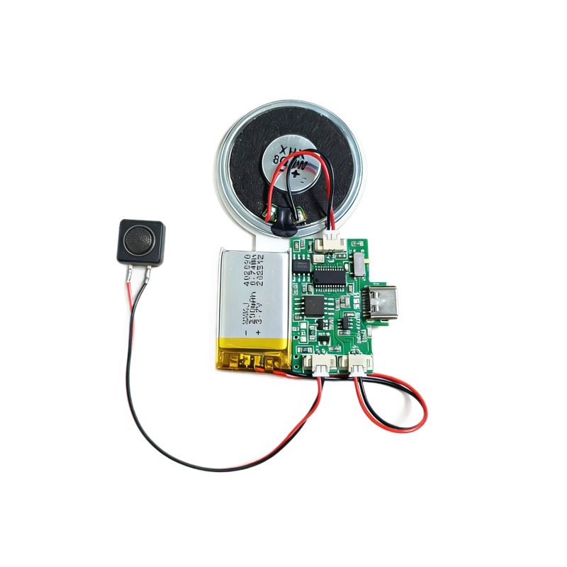 Download Audio Music Player - Module audio sans fil rechargeable avec