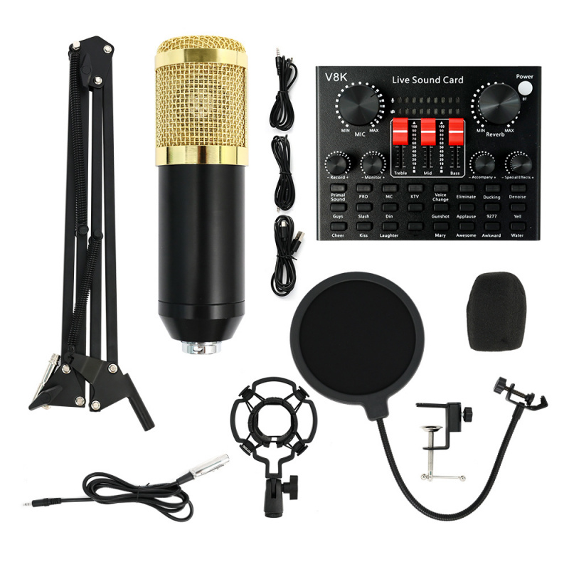 Audio Music Grading - Ensemble de microphone à condensateur BM800,