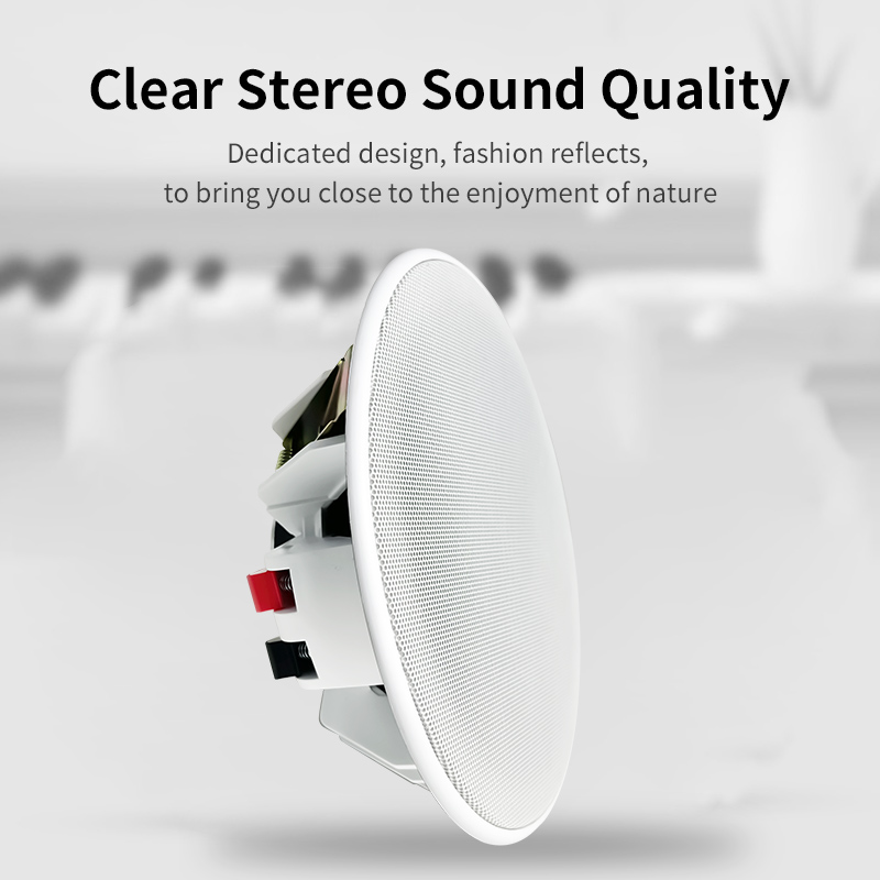 Haut-parleur de plafond 6 pouc - Audio Music Background Free avis et prix